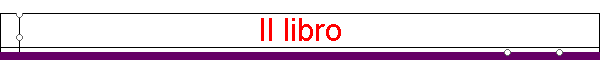 Il libro